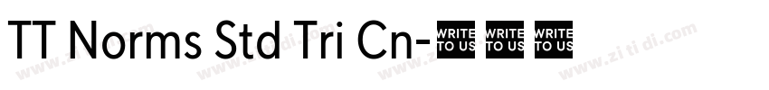 TT Norms Std Tri Cn字体转换